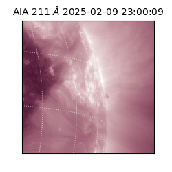 saia - 2025-02-09T23:00:09.626000