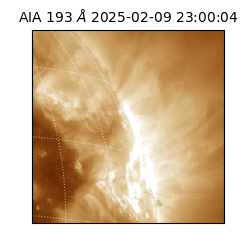 saia - 2025-02-09T23:00:04.843000