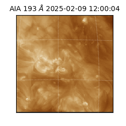 saia - 2025-02-09T12:00:04.843000
