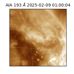 saia - 2025-02-09T01:00:04.843000