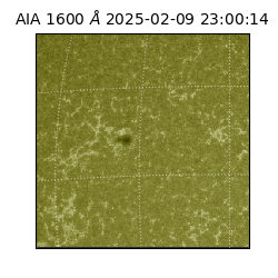 saia - 2025-02-09T23:00:14.126000