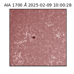 saia - 2025-02-09T10:00:28.717000