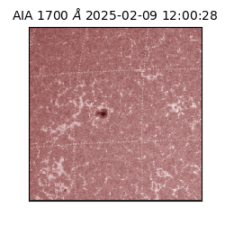 saia - 2025-02-09T12:00:28.710000