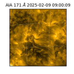 saia - 2025-02-09T09:00:09.350000