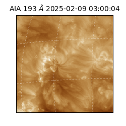 saia - 2025-02-09T03:00:04.843000