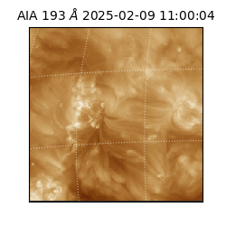 saia - 2025-02-09T11:00:04.843000