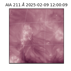 saia - 2025-02-09T12:00:09.630000