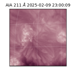 saia - 2025-02-09T23:00:09.626000