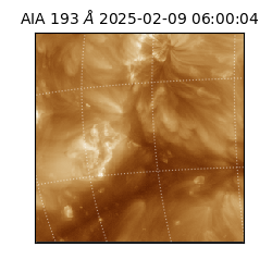 saia - 2025-02-09T06:00:04.843000