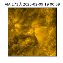 saia - 2025-02-09T19:00:09.350000