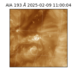 saia - 2025-02-09T11:00:04.843000