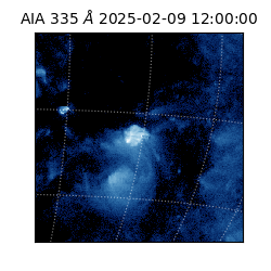 saia - 2025-02-09T12:00:00.625000