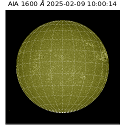 saia - 2025-02-09T10:00:14.126000