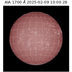 saia - 2025-02-09T10:00:28.717000