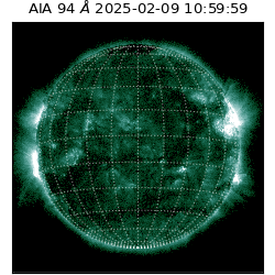 saia - 2025-02-09T10:59:59.122000