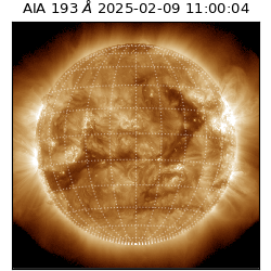 saia - 2025-02-09T11:00:04.843000