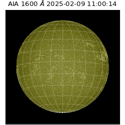 saia - 2025-02-09T11:00:14.126000
