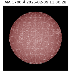 saia - 2025-02-09T11:00:28.718000