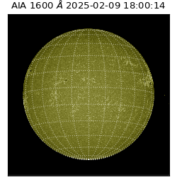 saia - 2025-02-09T18:00:14.126000