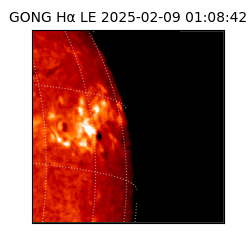 gong - 2025-02-09T01:08:42