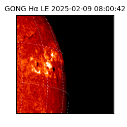 gong - 2025-02-09T08:00:42