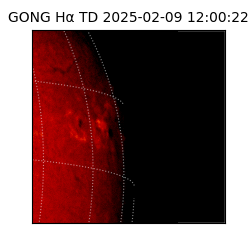 gong - 2025-02-09T12:00:22