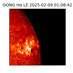 gong - 2025-02-09T01:08:42