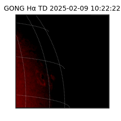 gong - 2025-02-09T10:22:22