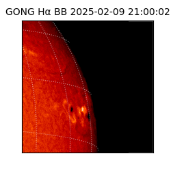 gong - 2025-02-09T21:00:02