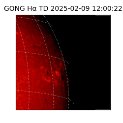 gong - 2025-02-09T12:00:22