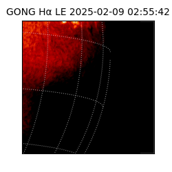 gong - 2025-02-09T02:55:42