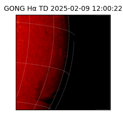 gong - 2025-02-09T12:00:22