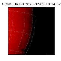 gong - 2025-02-09T19:14:02