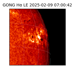 gong - 2025-02-09T07:00:42
