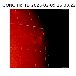 gong - 2025-02-09T16:08:22