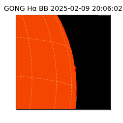 gong - 2025-02-09T20:06:02