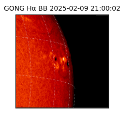gong - 2025-02-09T21:00:02