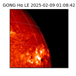 gong - 2025-02-09T01:08:42