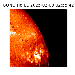 gong - 2025-02-09T02:55:42