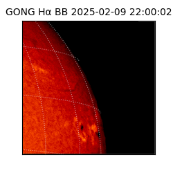 gong - 2025-02-09T22:00:02