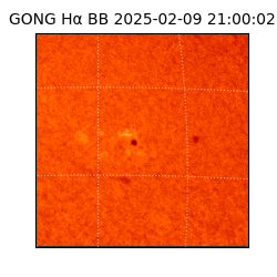 gong - 2025-02-09T21:00:02