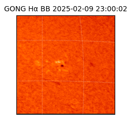 gong - 2025-02-09T23:00:02