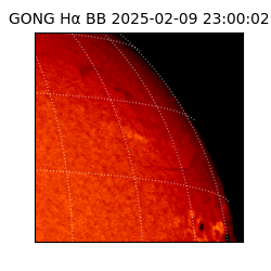gong - 2025-02-09T23:00:02