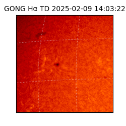 gong - 2025-02-09T14:03:22