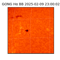 gong - 2025-02-09T23:00:02