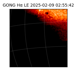 gong - 2025-02-09T02:55:42