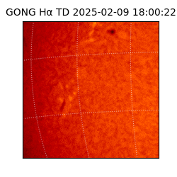 gong - 2025-02-09T18:00:22