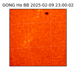 gong - 2025-02-09T23:00:02