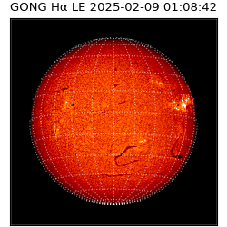 gong - 2025-02-09T01:08:42
