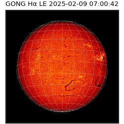 gong - 2025-02-09T07:00:42